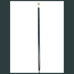 Walking Stick