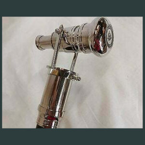 Walking Stick