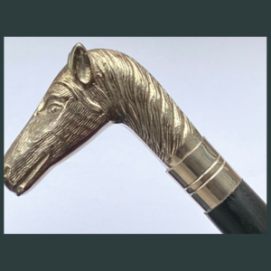Walking Stick