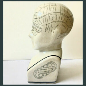 L.N fowler porcelain phrenology head