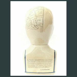 L.N fowler porcelain phrenology head