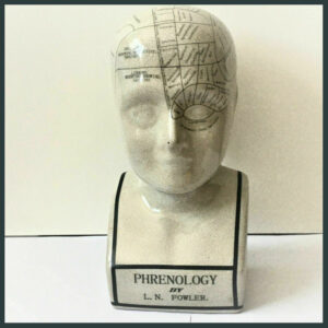 L.N fowler porcelain phrenology head