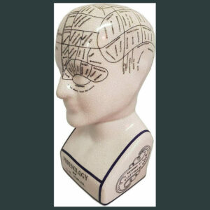 L.N fowler porcelain phrenology head