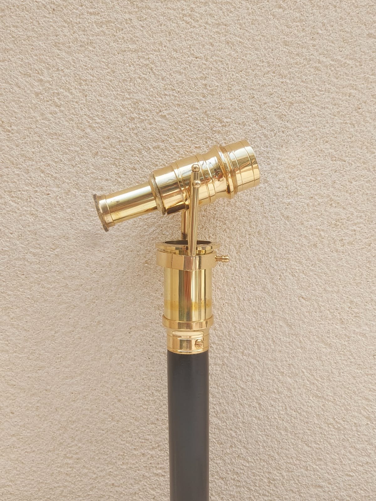 Walking Stick
