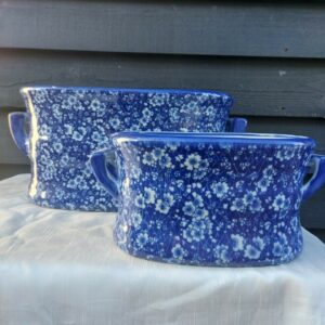 Set of 2 Daisy Design Footbath / Garden Planters: Floral Crocus Patio Indoor