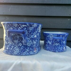 Set of 2 Daisy Design Footbath / Garden Planters: Floral Crocus Patio Indoor